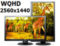 Recenzja monitora AOC q2770Pqu, WQHD 2560x1440 w akcji